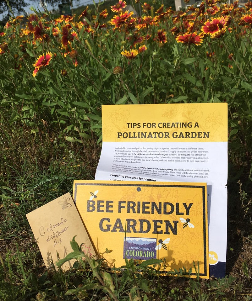 Bee Friendly Garden Kit