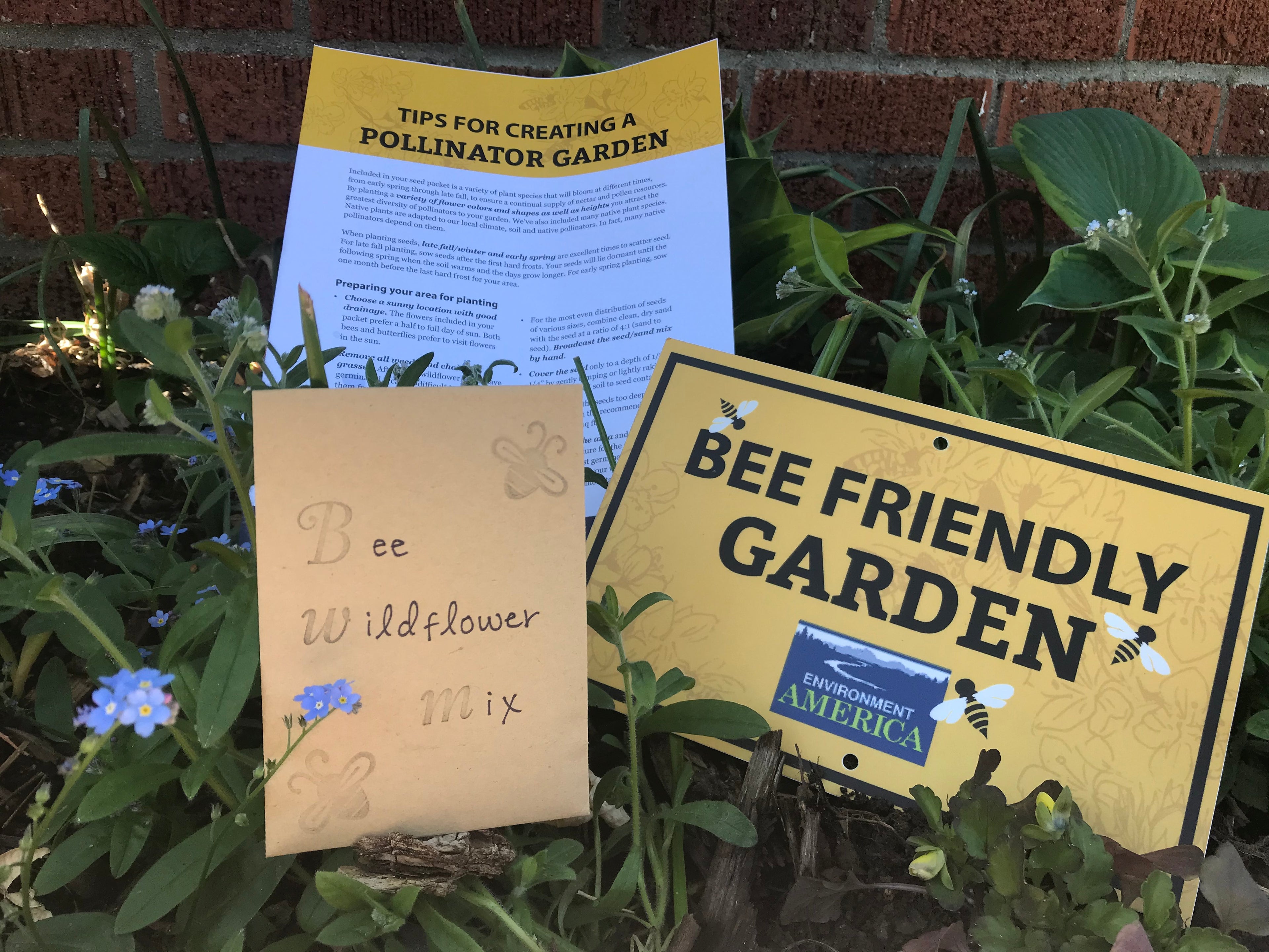 Environment California