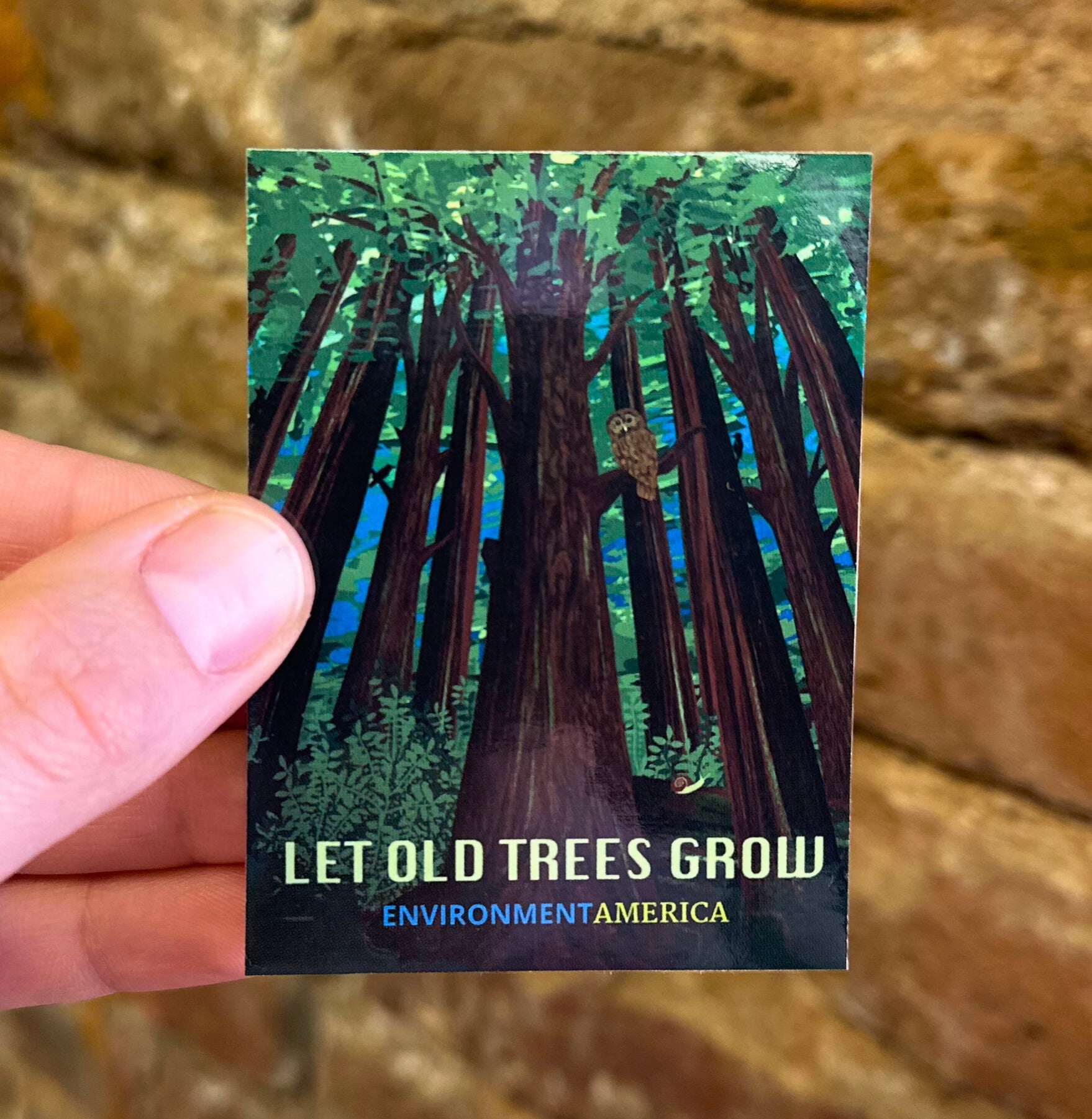 Let Old Trees Grow Stickers