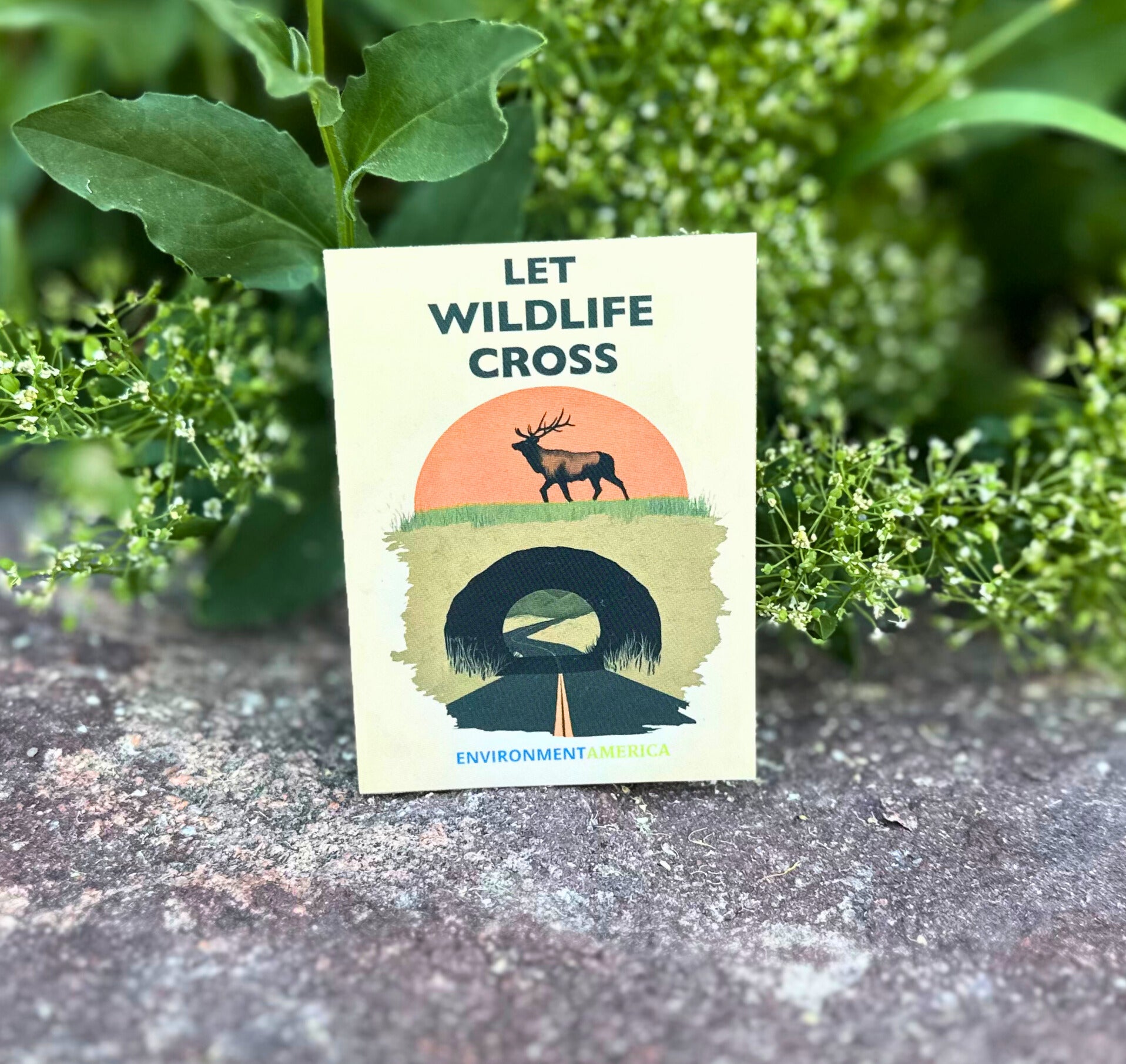 Let Wildlife Cross Stickers (set of 3)