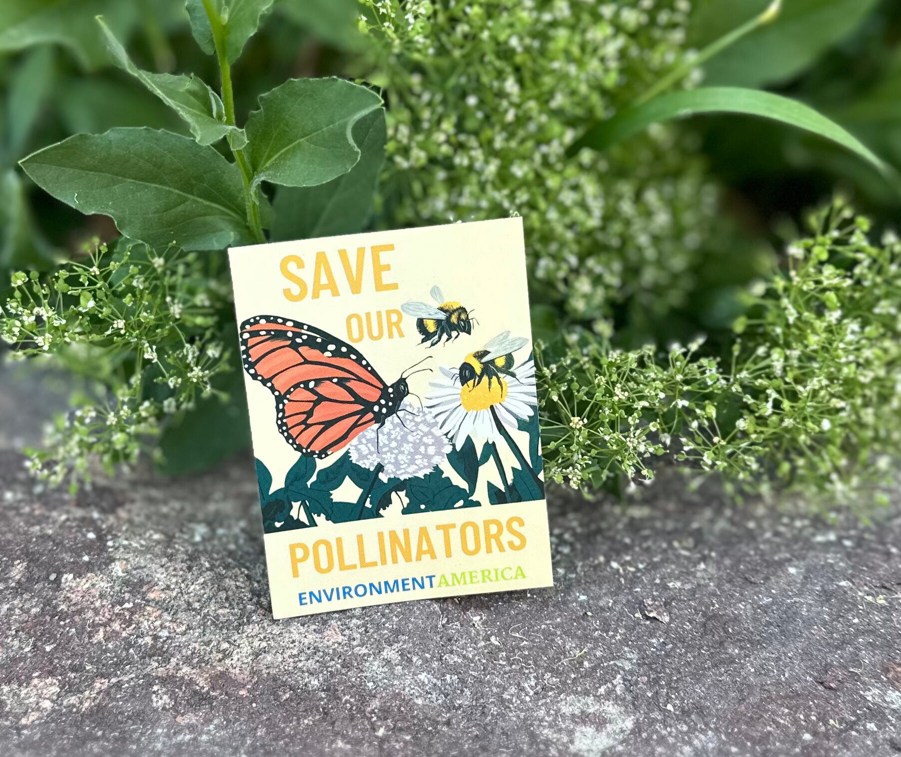 Save Our Pollinators Stickers (set of 3)