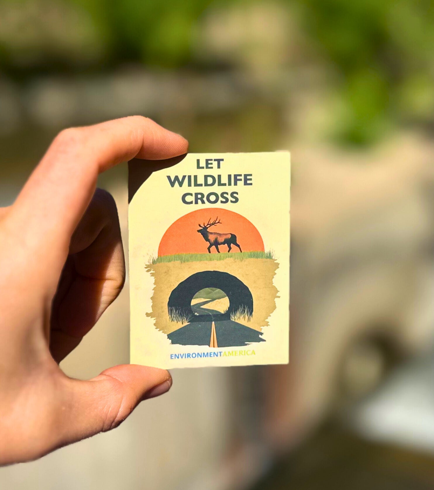 Let Wildlife Cross Stickers