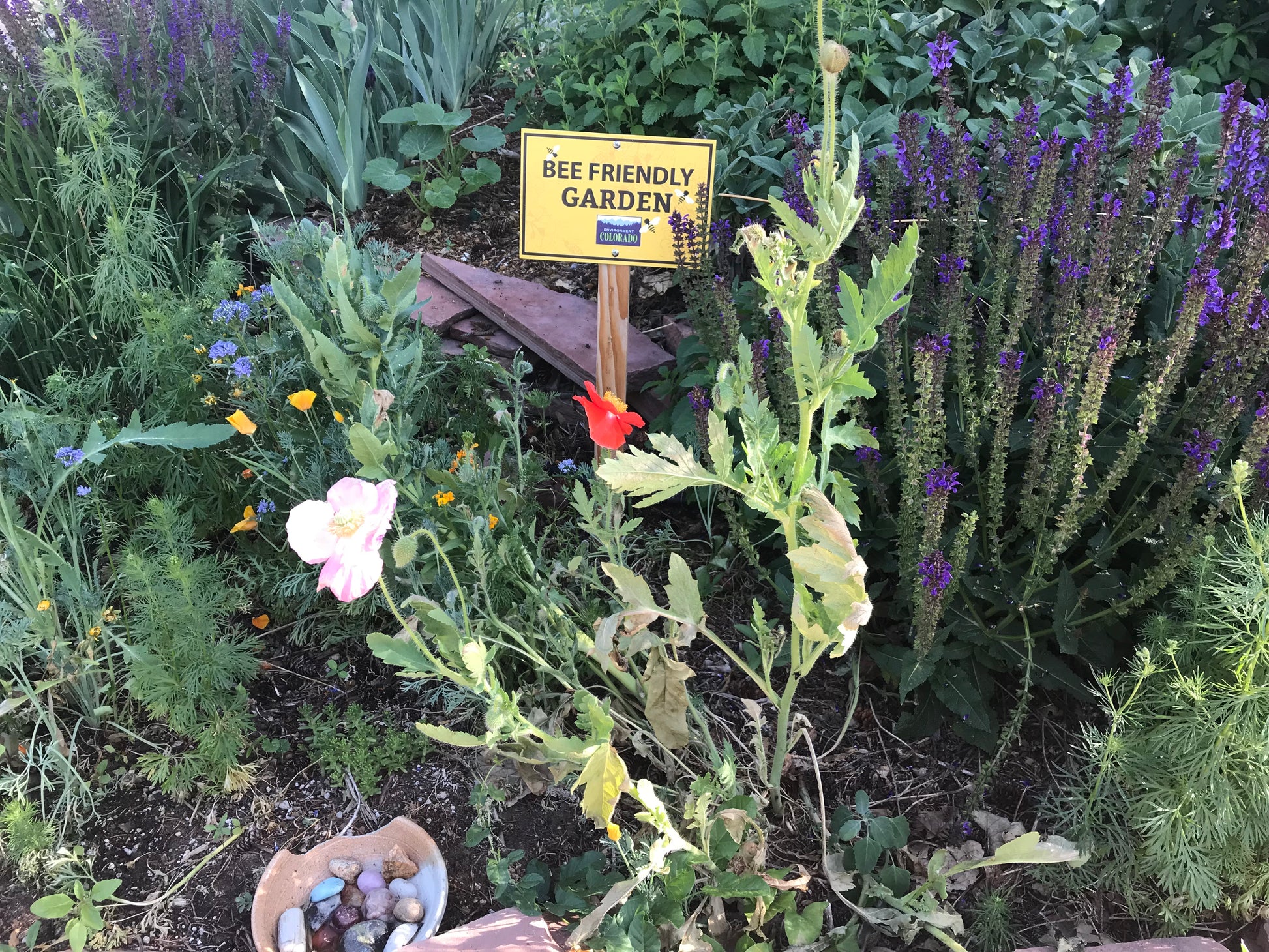 Pollinator Gardens Bundle