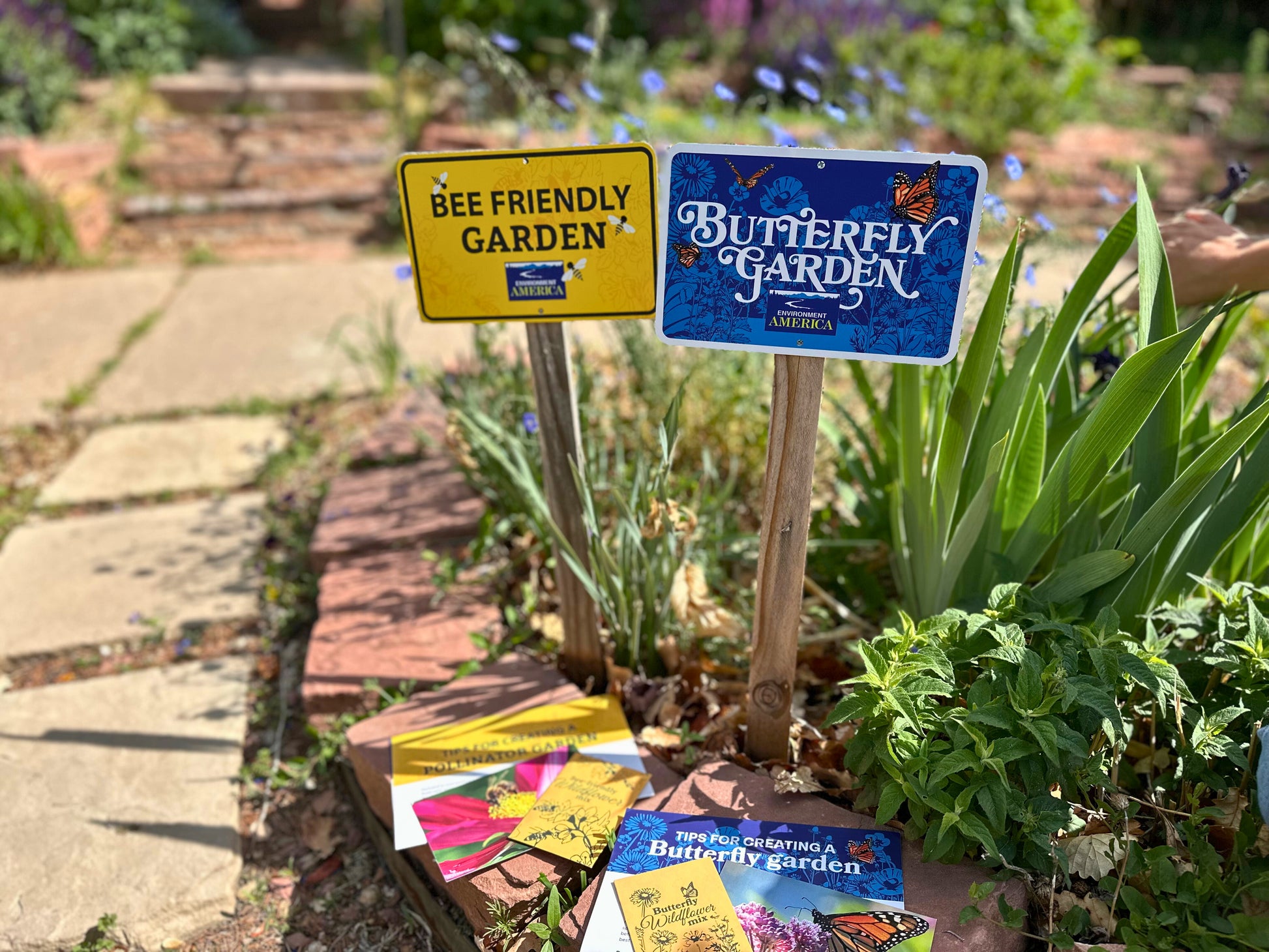 Pollinator Gardens Bundle