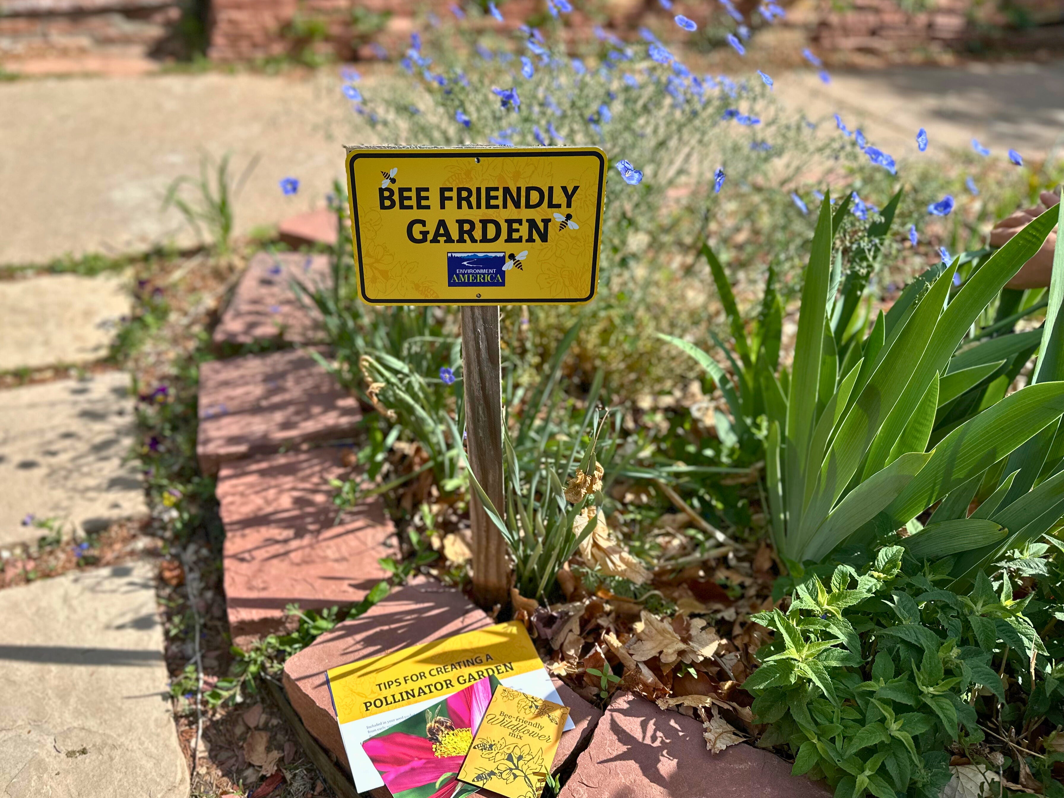 Bee Friendly Garden Kit