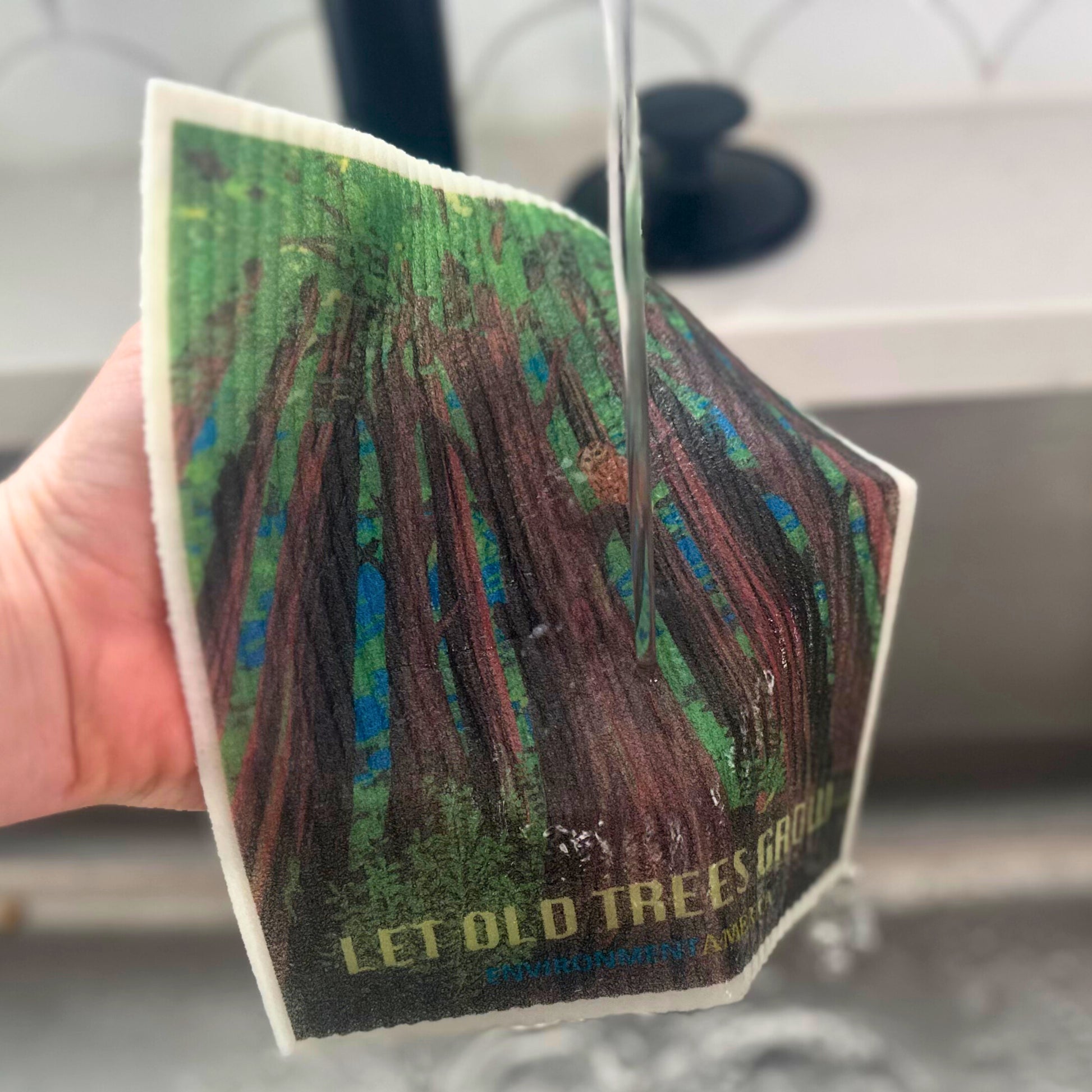 Forest Dishcloths (set of 3)