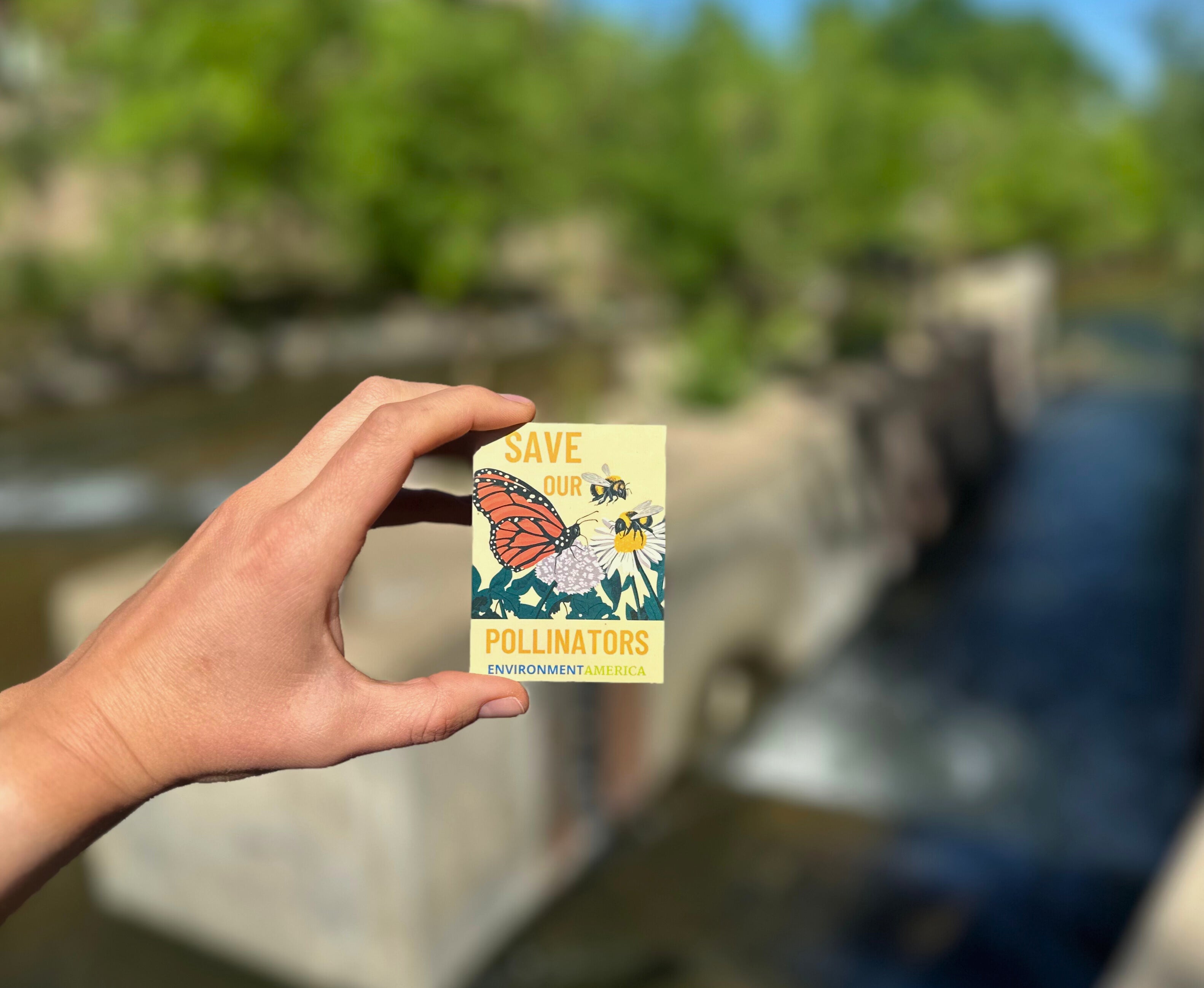 Save Our Pollinators Stickers (set of 3)