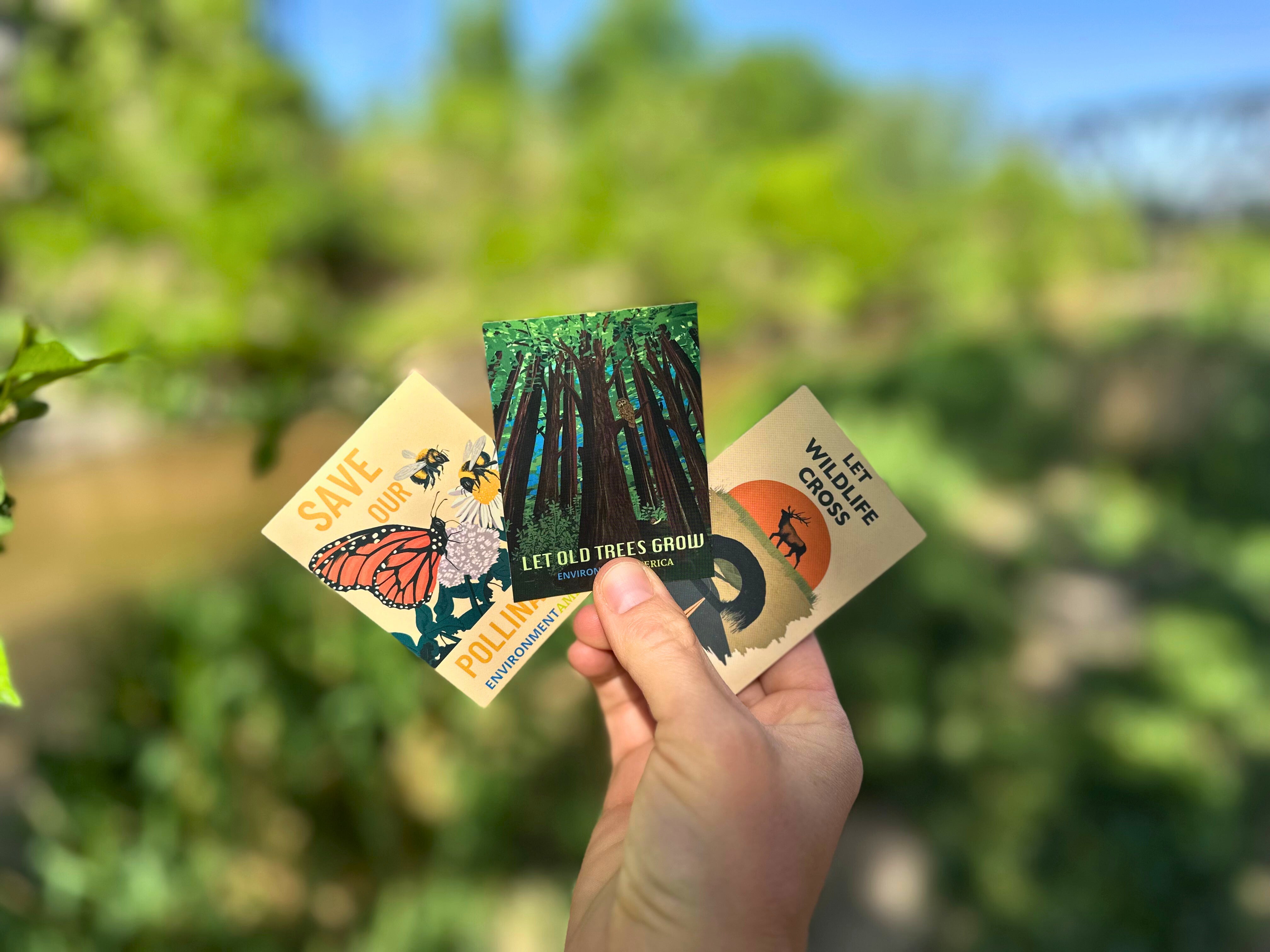 Mix and Match Stickers (set of 3) – Environment America Shop