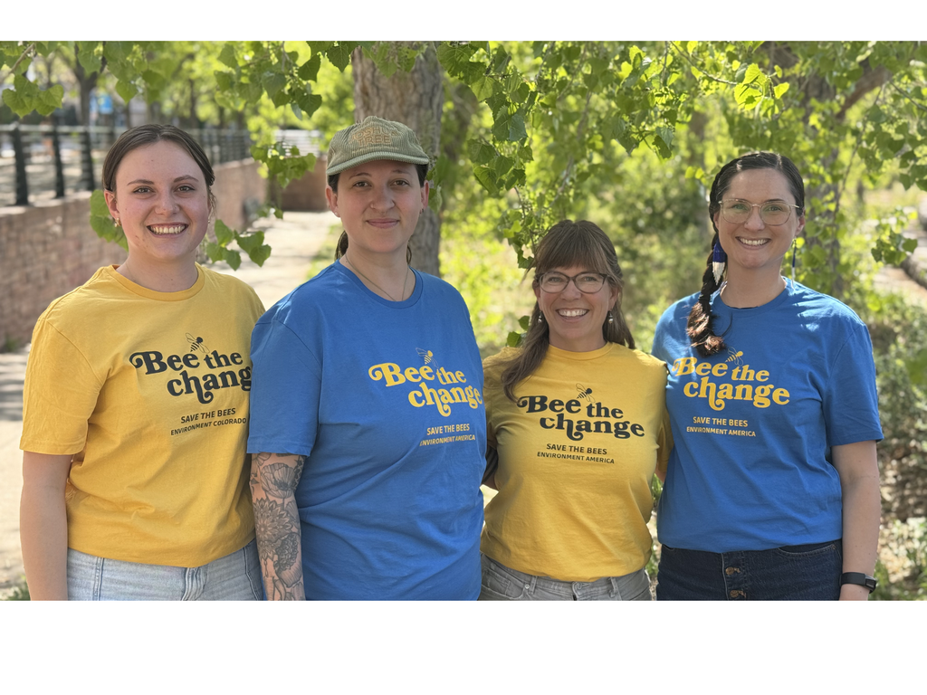 Bee the Change T-shirt