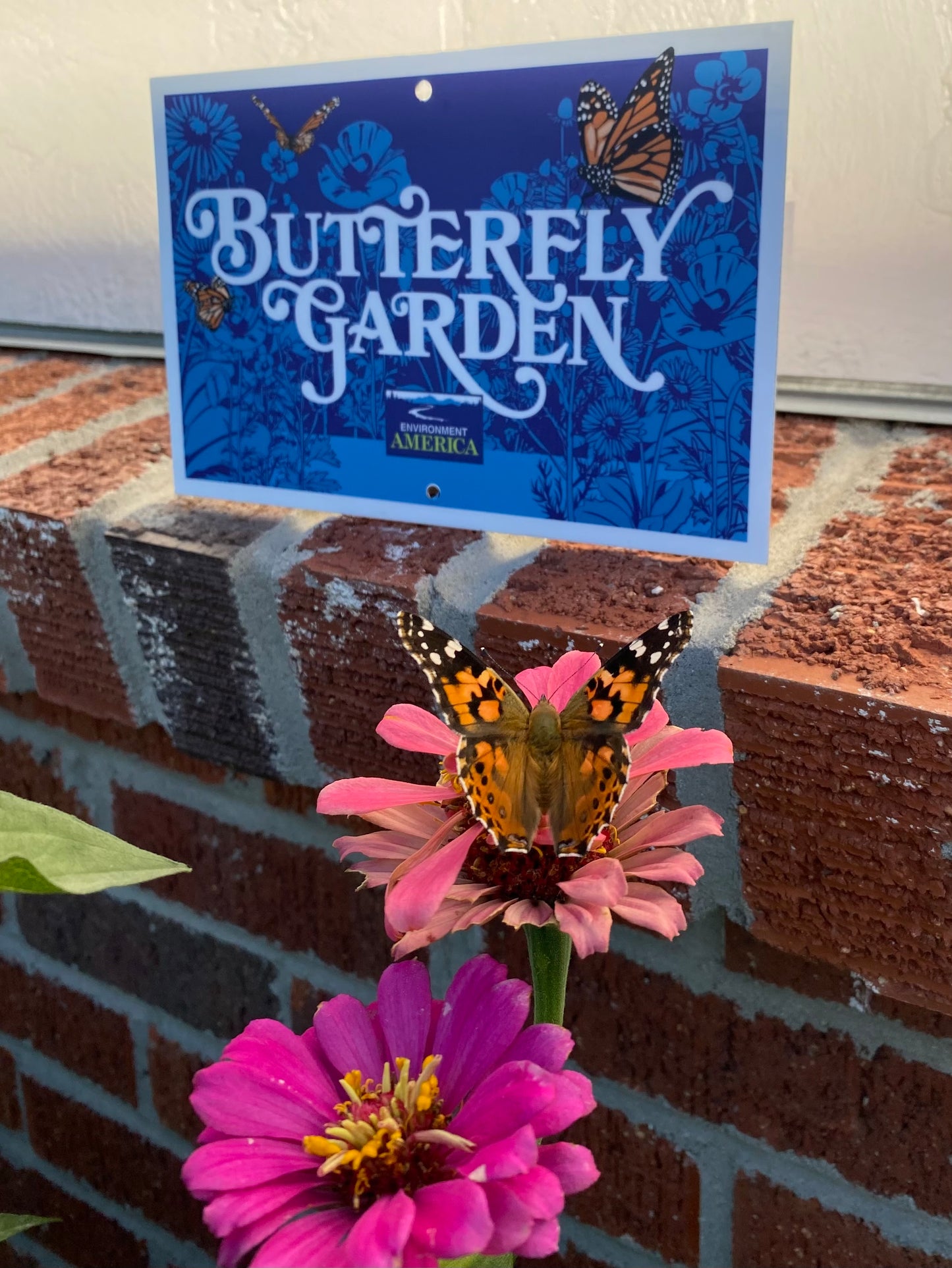 Butterfly Garden Kit