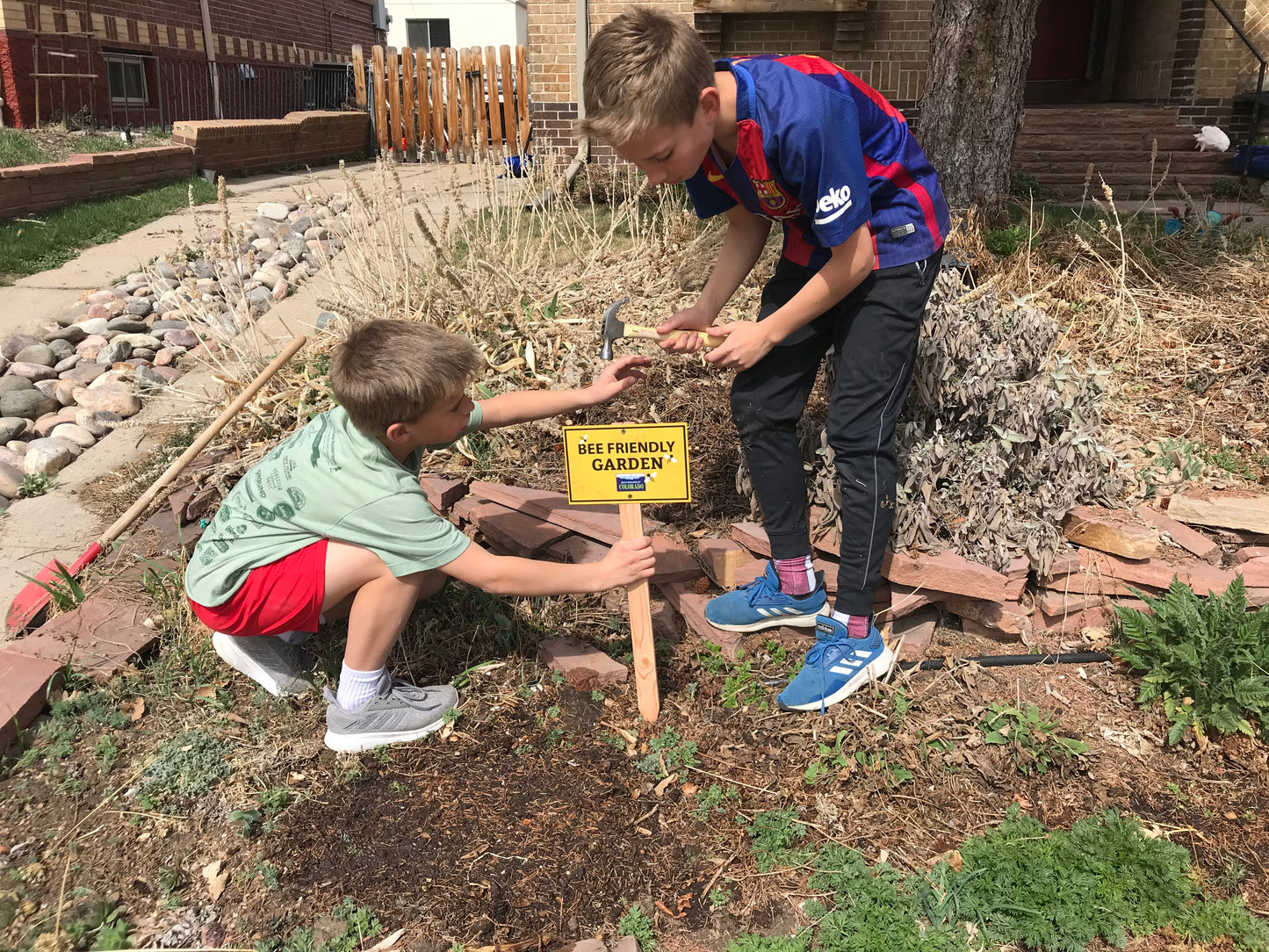 Bee Friendly Garden Kit