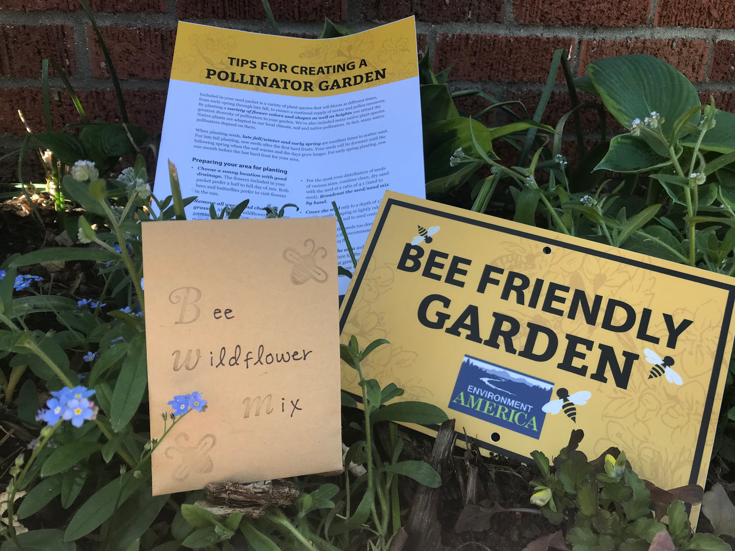 Bee Friendly Garden Kit