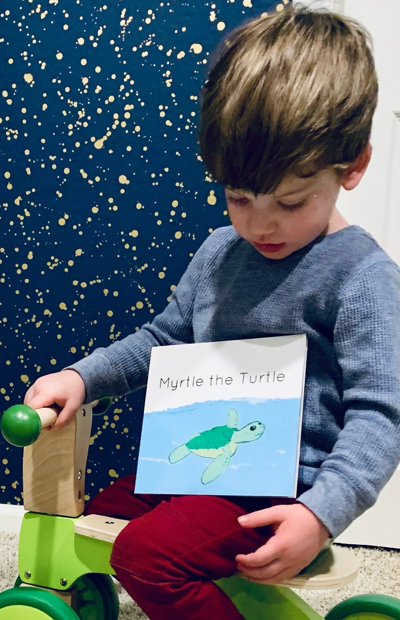 Myrtle the Turtle children's book