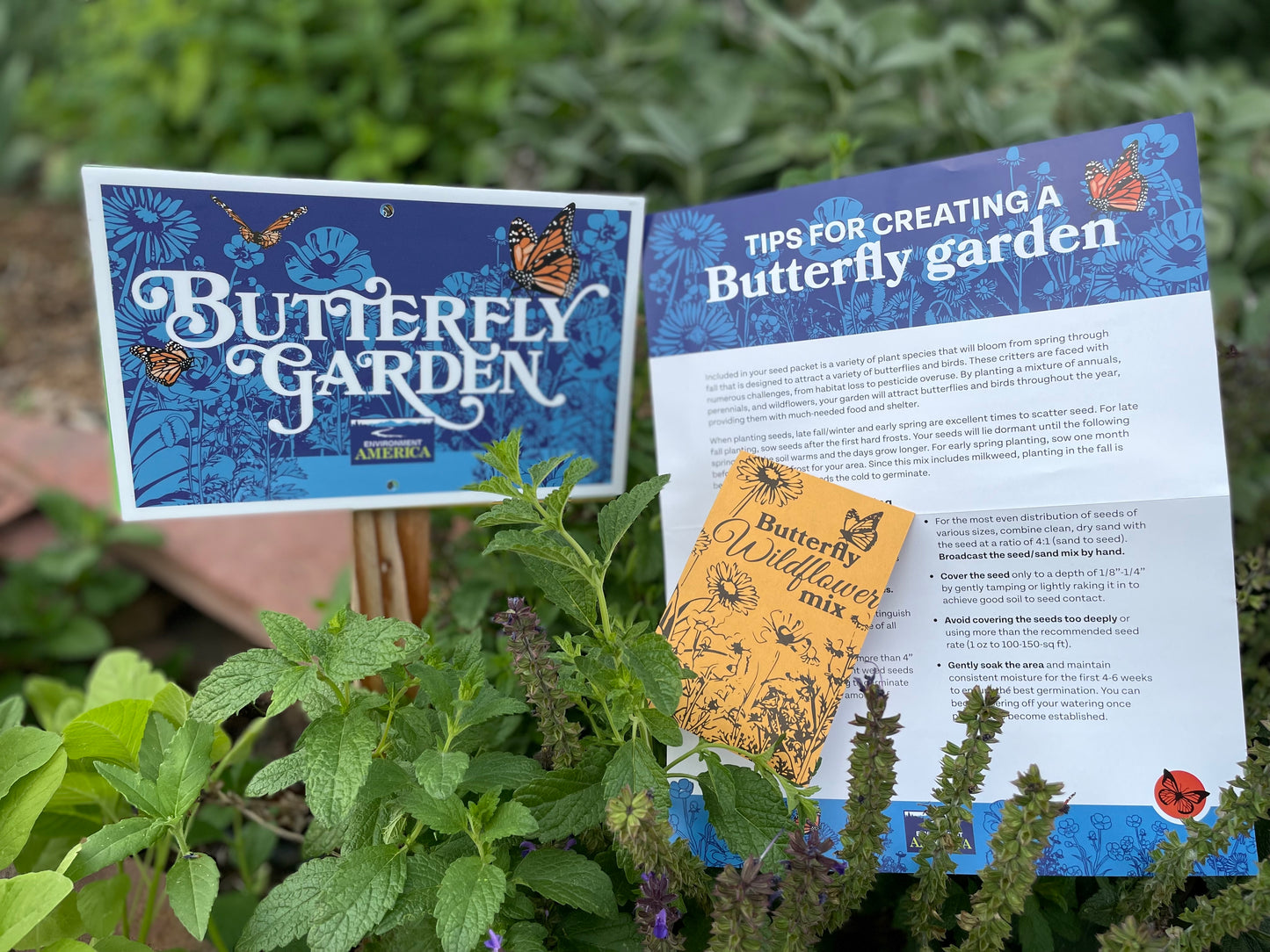 Butterfly Garden Kit