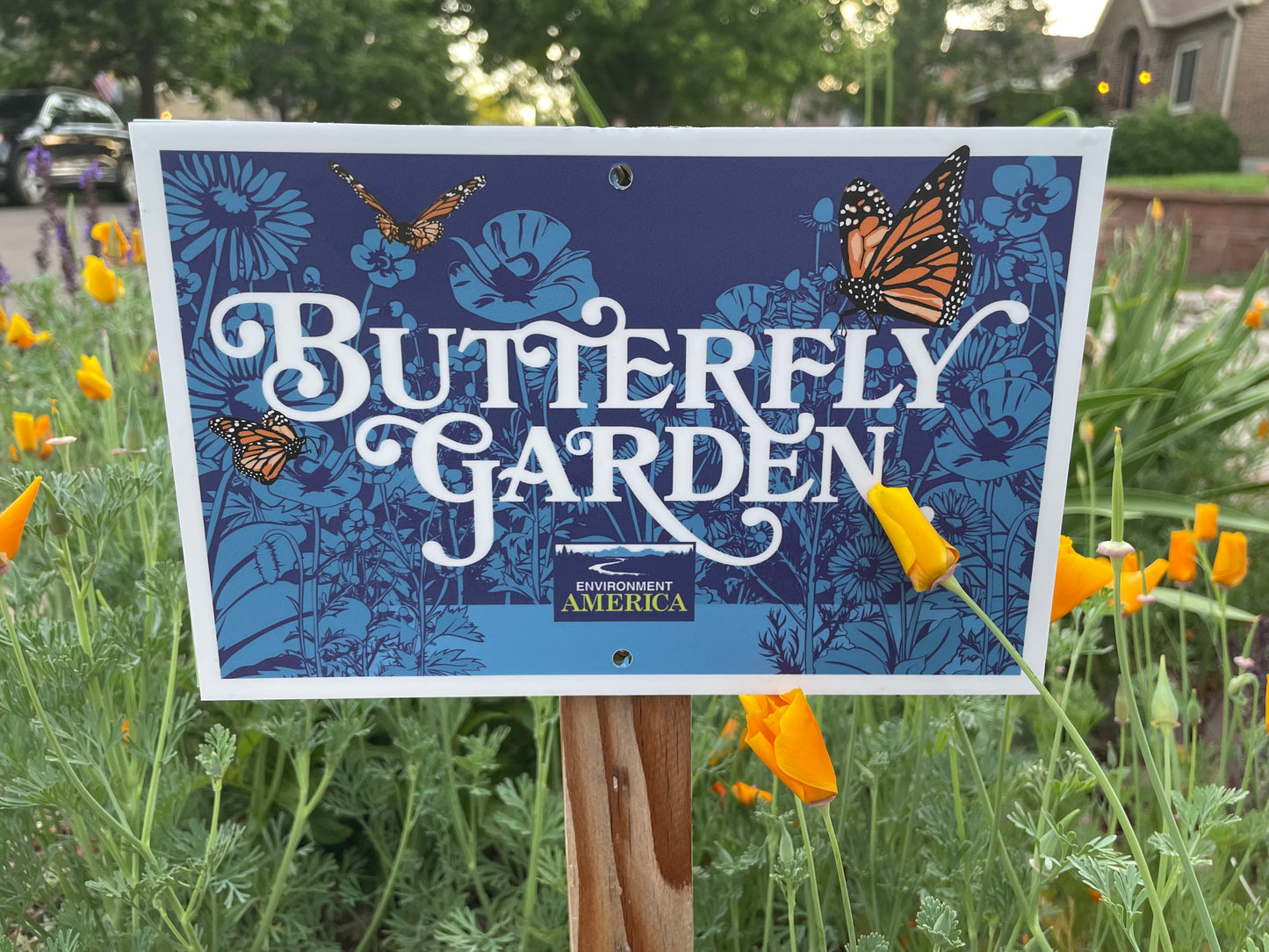 Butterfly Garden Kit