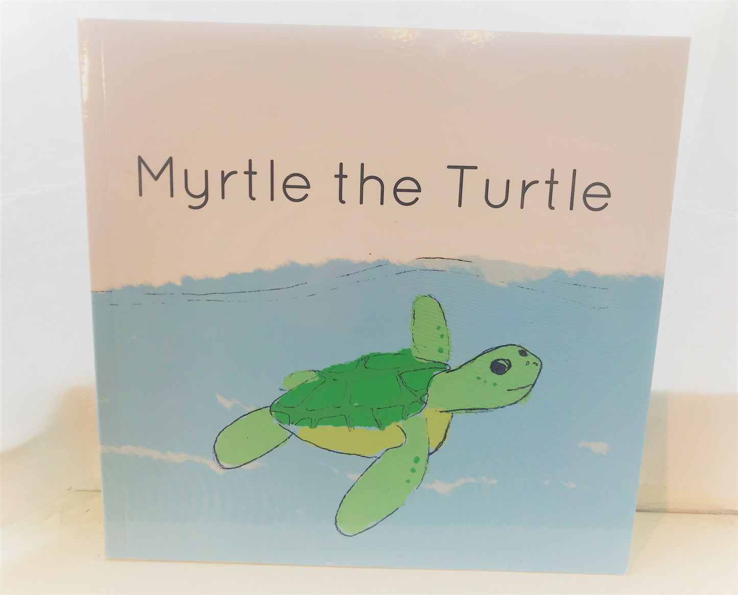 Myrtle the Turtle children's book